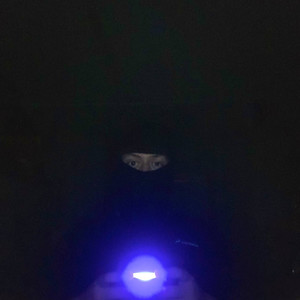 С ароматом вина