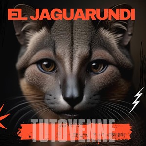 El Jaguarundi