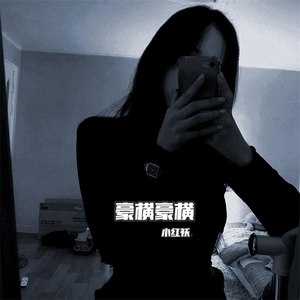 异域风情 (DJ版)