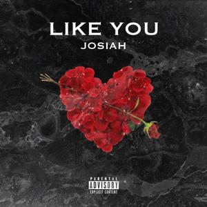 Like You (Explicit)