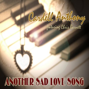 Another Sad Love Song (feat. Chris Barnett)