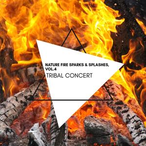 Tribal Concert - Nature Fire Sparks & Splashes, Vol.4