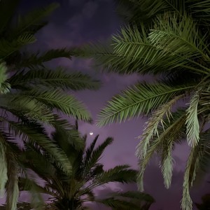 Talk to You (Slowed)