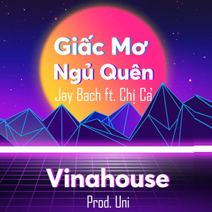 Giấc Mơ Ngủ Quên Vinahouse Ver.(Prod. Uni)