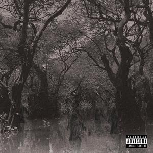 BURN(feat. MaxoKoolin) (Explicit)