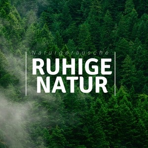 Ruhige Natur: Naturgeräusche, Ruhe des Geistes, Entspannende Meditationsmusik