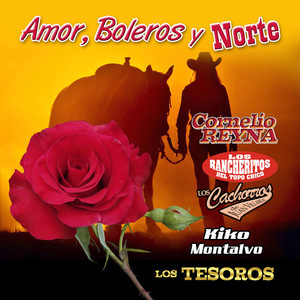 Amor Boleros Y Norte