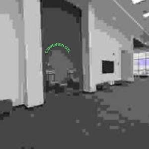 ##tartaria (Explicit)