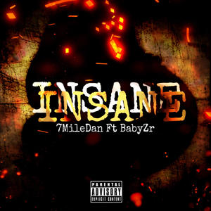 INSANE (feat. Babyzr) [Explicit]