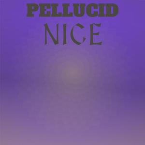 Pellucid Nice