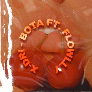 Bota (feat. FLOWLLY) [Explicit]