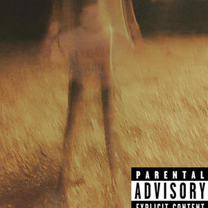 Melodiez & Feloniez (feat. Prince N.A.Z.) (Explicit)