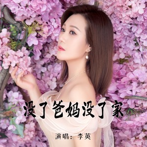 李英《没了爸妈没了家》[MP3_LRC]_MP3免费下载