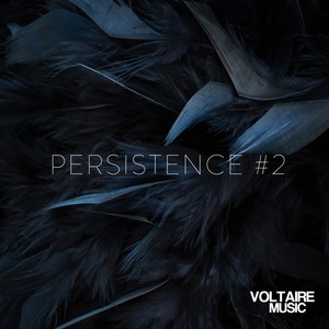 Voltaire Music Pres. Persistence #2