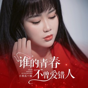谁的青春不曾爱错人