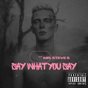 Say What You Say (Explicit)