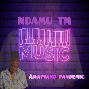 Amapiano Pandemic