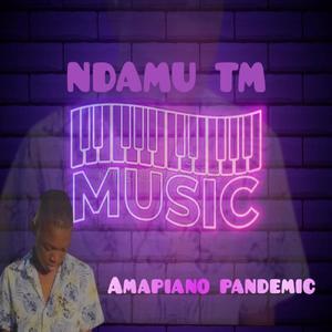 Pure Suprise Amapiano