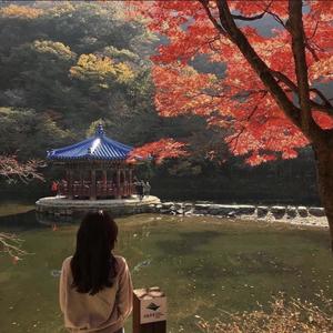 Halo (2HighOffDisEarth) (Explicit)