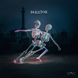 Skeleton