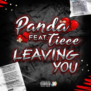 Leaving You (feat. Teice) (Explicit)