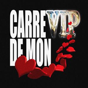 carré VIP de mon <3