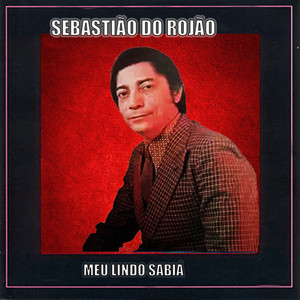 Meu Lindo Sabiá