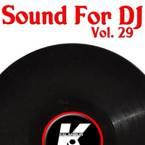 SOUND FOR DJ VOL 29 (Explicit)