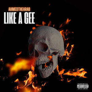 Like a Gee (Explicit)