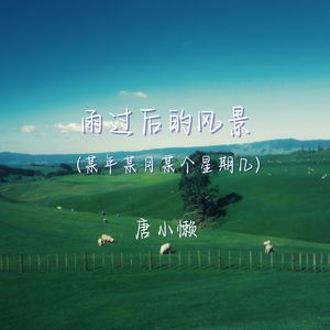 雨过后的风景（某年某月某个星期几）