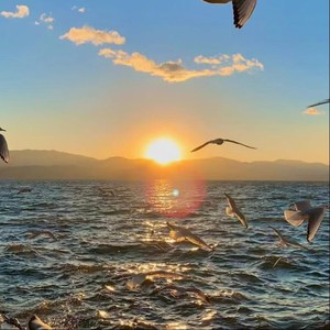 Paradise天堂(美国达人秀9岁男孩封神原创)