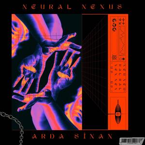 Neural Nexus