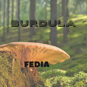 Burdula