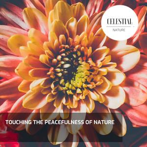 Touching the Peacefulness of Nature