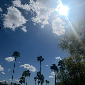 Excellent (feat. Rell The Remedy) (Explicit)