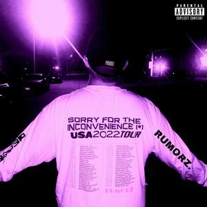 Moonlight (Explicit)