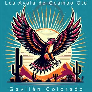 El Gavilan Colorado