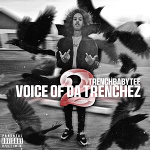 Voice Of Da Trenchez 2 (Explicit)