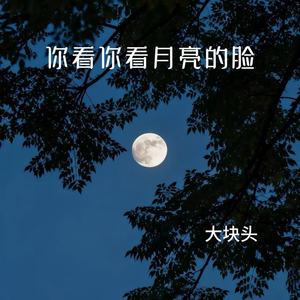 你看你看月亮的脸