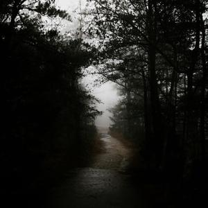 i chose this path (Explicit)