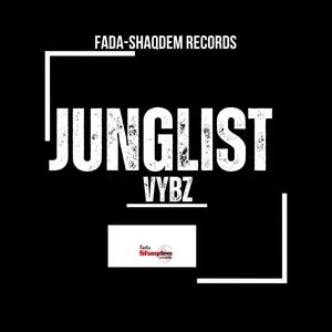 Junglist Vybz Riddim