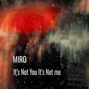 It's Not You It's Not Me
