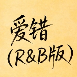 爱错 (R&B版)封面