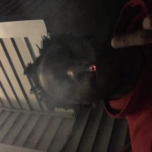 Steppinfomanman (feat. bigdraxo) (Explicit)