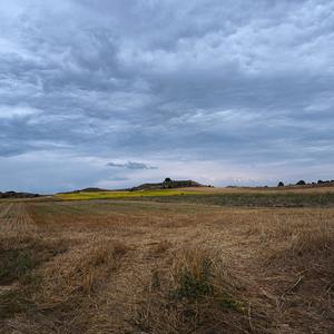 Villancico 24/25 (feat. Gabi Kopp) (Explicit)