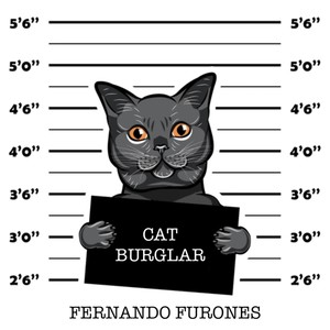 Cat Burglar