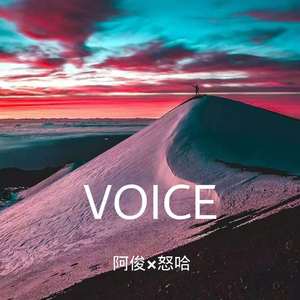 VOICE