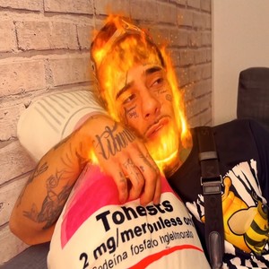 Distribuyendo placas