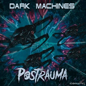 Dark Machines