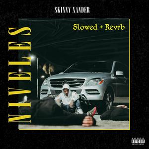 Niveles (Slowed + Reverb)